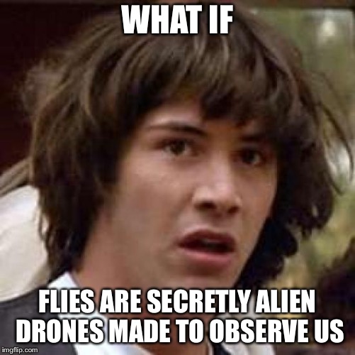 Conspiracy Keanu | WHAT IF; FLIES ARE SECRETLY ALIEN DRONES MADE TO OBSERVE US | image tagged in memes,conspiracy keanu | made w/ Imgflip meme maker