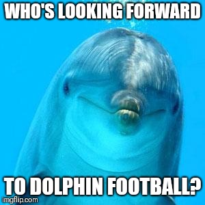Cos Dolphin football starts soon? | WHO'S LOOKING FORWARD; TO DOLPHIN FOOTBALL? | image tagged in dolphin don't play games,memes,nfl,miami dolphins,football | made w/ Imgflip meme maker
