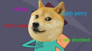 such perry; wow; much doge; I am shocked | image tagged in doge,perry the platypus,shiba inu,platypus,dogs | made w/ Imgflip meme maker