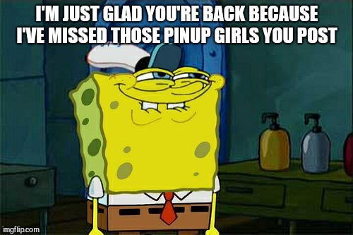 Don't You Squidward Meme | I'M JUST GLAD YOU'RE BACK BECAUSE I'VE MISSED THOSE PINUP GIRLS YOU POST | image tagged in memes,dont you squidward | made w/ Imgflip meme maker