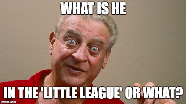 WHAT IS HE IN THE 'LITTLE LEAGUE' OR WHAT? | made w/ Imgflip meme maker