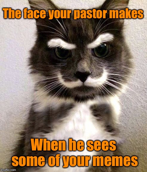 The face your pastor makes; When he sees some of your memes | image tagged in disapproving cat,funny,funny cat memes | made w/ Imgflip meme maker