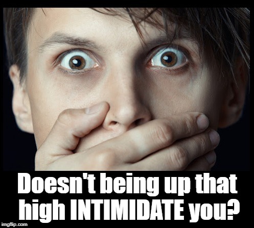 oh my | Doesn't being up that high INTIMIDATE you? | image tagged in oh my | made w/ Imgflip meme maker