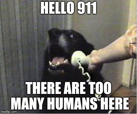 It's for you | HELLO 911 THERE ARE TOO MANY HUMANS HERE | image tagged in it's for you | made w/ Imgflip meme maker