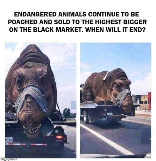 Upvote This Meme If You're As Outraged As I Am. | ENDANGERED ANIMALS CONTINUE TO BE POACHED AND SOLD TO THE HIGHEST BIGGER ON THE BLACK MARKET. WHEN WILL IT END? | image tagged in memes,endangered animals,animals,cruel,humanity,hunting | made w/ Imgflip meme maker