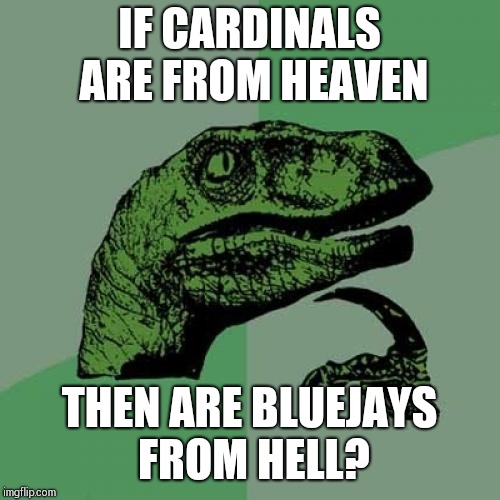 Philosoraptor Meme | IF CARDINALS ARE FROM HEAVEN; THEN ARE BLUEJAYS FROM HELL? | image tagged in memes,philosoraptor | made w/ Imgflip meme maker