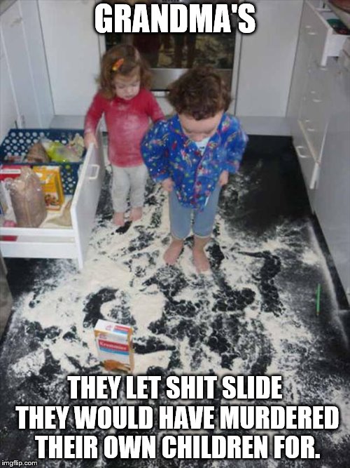 Messy kids | GRANDMA'S; THEY LET SHIT SLIDE THEY WOULD HAVE MURDERED THEIR OWN CHILDREN FOR. | image tagged in messy kids | made w/ Imgflip meme maker