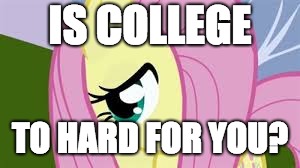 Shy Fluttershy | IS COLLEGE; TO HARD FOR YOU? | image tagged in shy fluttershy | made w/ Imgflip meme maker