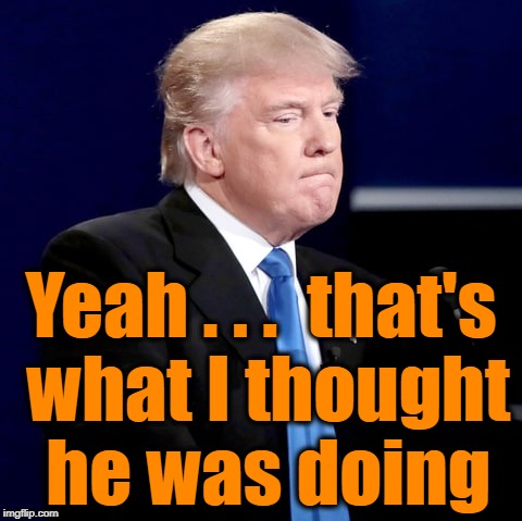 Yeah . . .  that's what I thought he was doing | made w/ Imgflip meme maker