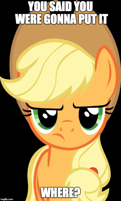 Applejack is not amused | YOU SAID YOU WERE GONNA PUT IT; WHERE? | image tagged in applejack is not amused,memes,silly | made w/ Imgflip meme maker
