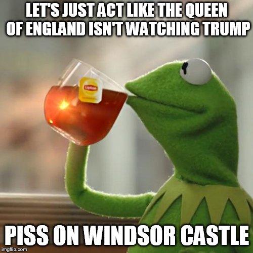 But That's None Of My Business Meme | LET'S JUST ACT LIKE THE QUEEN OF ENGLAND ISN'T WATCHING TRUMP PISS ON WINDSOR CASTLE | image tagged in memes,but thats none of my business,kermit the frog | made w/ Imgflip meme maker