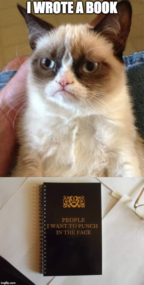 Autobiography | I WROTE A BOOK | image tagged in book,wrote,author,punch,grumpy cat | made w/ Imgflip meme maker