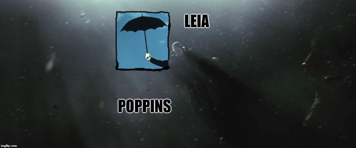 LEIA; POPPINS | image tagged in leia poppins | made w/ Imgflip meme maker