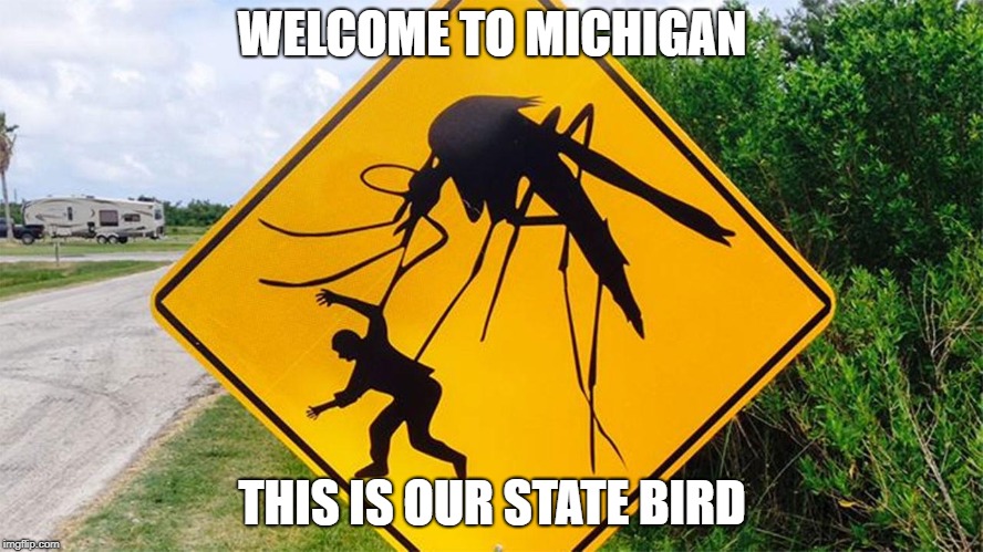 WELCOME TO MICHIGAN; THIS IS OUR STATE BIRD | made w/ Imgflip meme maker