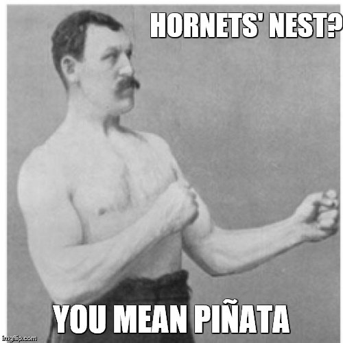 Overly Manly Man |  HORNETS' NEST? YOU MEAN PIÑATA | image tagged in memes,overly manly man | made w/ Imgflip meme maker