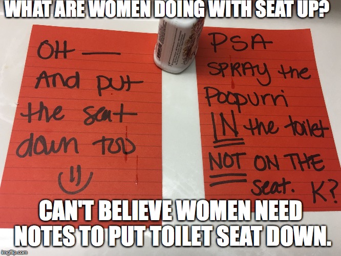 WHAT ARE WOMEN DOING WITH SEAT UP? CAN'T BELIEVE WOMEN NEED NOTES TO PUT TOILET SEAT DOWN. | image tagged in toilet set | made w/ Imgflip meme maker