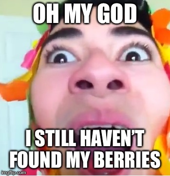 OH MY GOD; I STILL HAVEN’T FOUND MY BERRIES | image tagged in berries guy | made w/ Imgflip meme maker