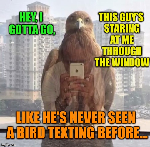 Smart bird | THIS GUY’S STARING AT ME THROUGH THE WINDOW; HEY, I GOTTA GO, LIKE HE’S NEVER SEEN A BIRD TEXTING BEFORE... | image tagged in texting,pigeon,creepy guy,staring,funny memes | made w/ Imgflip meme maker