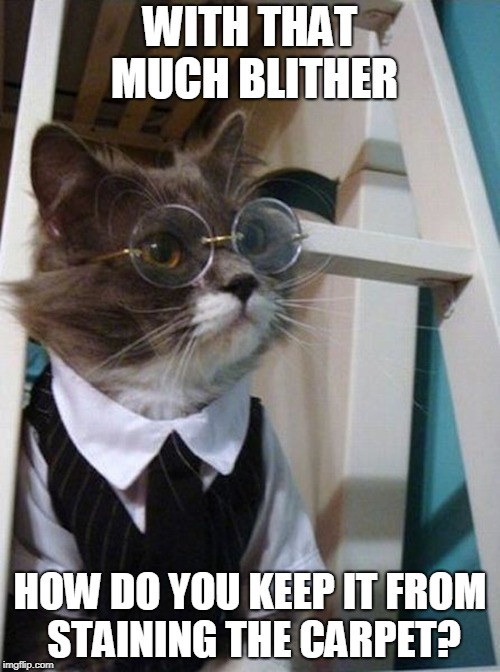 Cat-Suit-Glasses | WITH THAT MUCH BLITHER; HOW DO YOU KEEP IT FROM STAINING THE CARPET? | image tagged in cat-suit-glasses | made w/ Imgflip meme maker