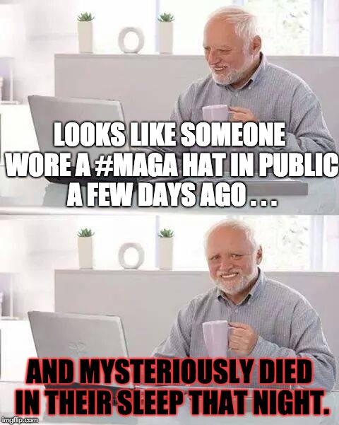 When Karma Hits Trump Supporters and Voters Real Good | LOOKS LIKE SOMEONE WORE A #MAGA HAT IN PUBLIC A FEW DAYS AGO . . . AND MYSTERIOUSLY DIED IN THEIR SLEEP THAT NIGHT. | image tagged in memes,hide the pain harold,karma,trump,maga | made w/ Imgflip meme maker