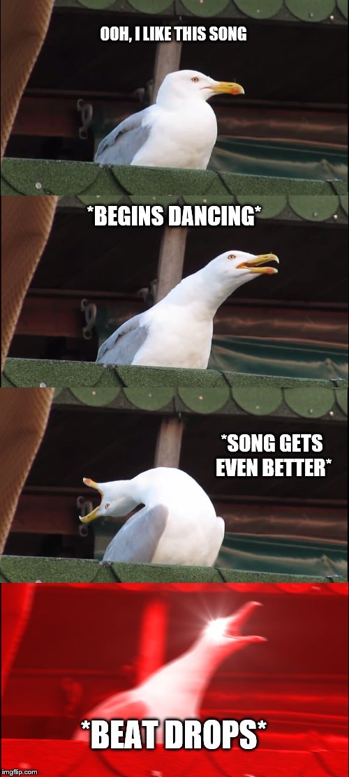 Inhaling Seagull Meme | OOH, I LIKE THIS SONG; *BEGINS DANCING*; *SONG GETS EVEN BETTER*; *BEAT DROPS* | image tagged in memes,inhaling seagull | made w/ Imgflip meme maker