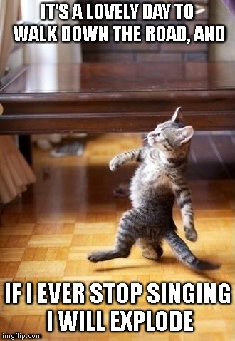 Cool Cat Stroll | IT'S A LOVELY DAY TO WALK DOWN THE ROAD, AND; IF I EVER STOP SINGING I WILL EXPLODE | image tagged in memes,cool cat stroll | made w/ Imgflip meme maker