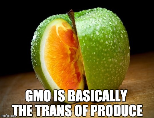 Gmo nono | GMO IS BASICALLY THE TRANS OF PRODUCE | image tagged in transgender | made w/ Imgflip meme maker