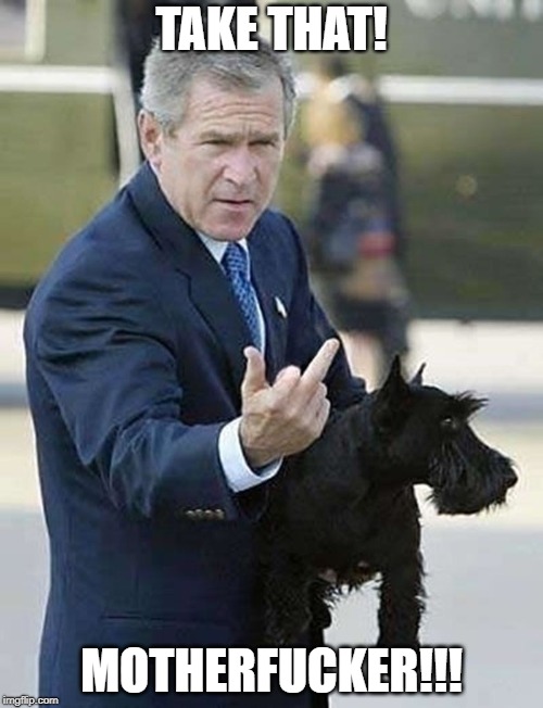 George W. Bush Middle Finger | TAKE THAT! MOTHERFUCKER!!! | image tagged in middlefinger,middle finger,george w bush | made w/ Imgflip meme maker