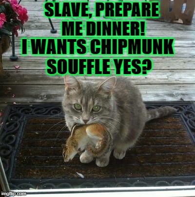 SLAVE, PREPARE ME DINNER! I WANTS CHIPMUNK SOUFFLE YES? | image tagged in chipmunk souffle | made w/ Imgflip meme maker