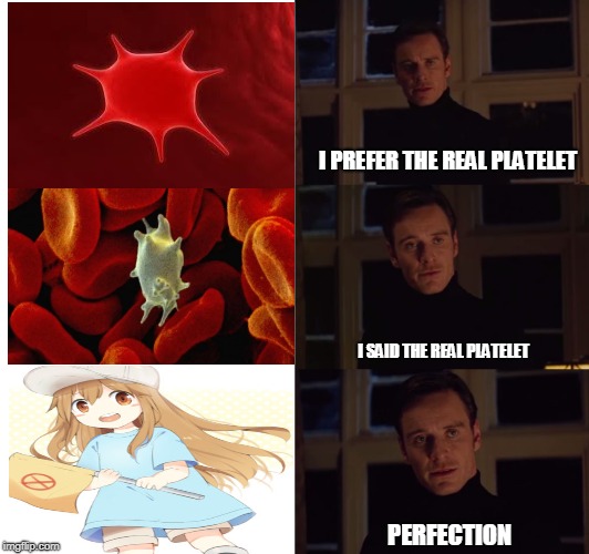 perfection | I PREFER THE REAL PLATELET; I SAID THE REAL PLATELET; PERFECTION | image tagged in perfection | made w/ Imgflip meme maker