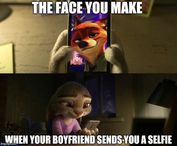 Zootopia Selfie | THE FACE YOU MAKE; WHEN YOUR BOYFRIEND SENDS YOU A SELFIE | image tagged in nick wilde and judy hopps smile,zootopia,nick wilde,judy hopps,funny,memes | made w/ Imgflip meme maker