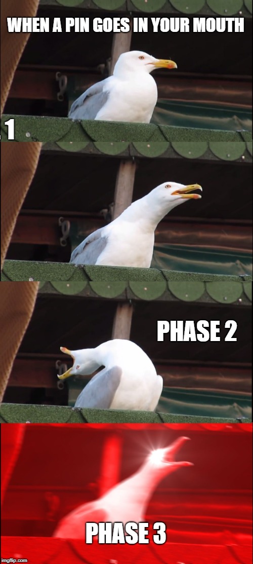 Inhaling Seagull Meme | WHEN A PIN GOES IN YOUR MOUTH; PHASE 1; PHASE 2; PHASE 3 | image tagged in memes,inhaling seagull | made w/ Imgflip meme maker