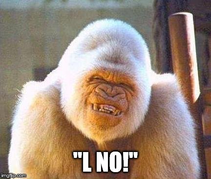 whit gorrila smile | "L NO!" | image tagged in whit gorrila smile | made w/ Imgflip meme maker