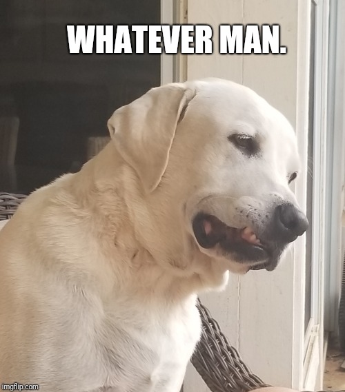 WHATEVER MAN. | image tagged in whatever | made w/ Imgflip meme maker
