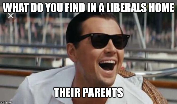 WHAT DO YOU FIND IN A LIBERALS HOME; THEIR PARENTS | image tagged in liberal meme | made w/ Imgflip meme maker