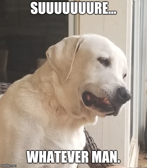 SUUUUUUURE... WHATEVER MAN. | image tagged in sure | made w/ Imgflip meme maker