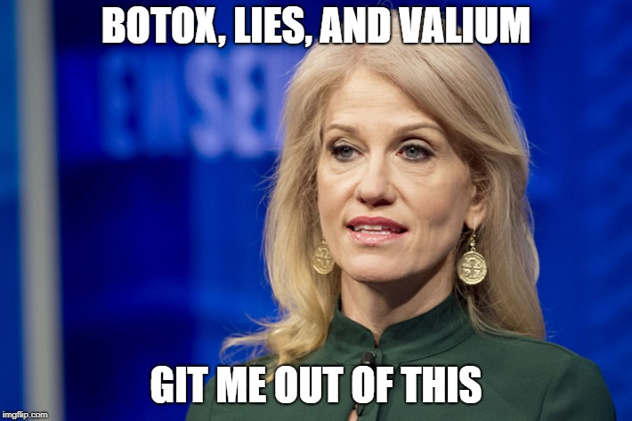 BOTOX, LIES, AND VALIUM; GIT ME OUT OF THIS | image tagged in kellyanne the great deceiver | made w/ Imgflip meme maker