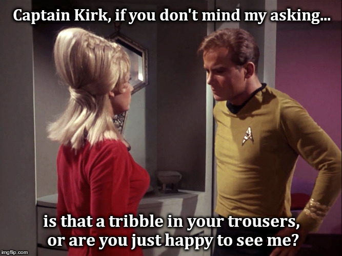 Captain Kirk Ensign Yeo | Captain Kirk, if you don't mind my asking... is that a tribble in your trousers, or are you just happy to see me? | image tagged in captain kirk ensign yeo | made w/ Imgflip meme maker