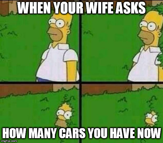 Homer Simpson in Bush - Large | WHEN YOUR WIFE ASKS; HOW MANY CARS YOU HAVE NOW | image tagged in homer simpson in bush - large | made w/ Imgflip meme maker