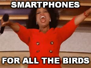 Ophrah | SMARTPHONES FOR ALL THE BIRDS | image tagged in ophrah | made w/ Imgflip meme maker