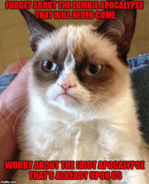 Never seems to be a shortage.... | FORGET ABOUT THE ZOMBIE APOCALYPSE THAT WILL NEVER COME; WORRY ABOUT THE IDIOT APOCALYPSE THAT'S ALREADY UPON US | image tagged in memes,grumpy cat,zombie apocalypse,funny,cats,zombies | made w/ Imgflip meme maker