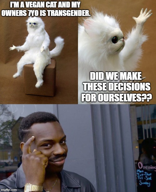 We all know who's making these decisions. | I'M A VEGAN CAT AND MY OWNERS 7YO IS TRANSGENDER. DID WE MAKE THESE DECISIONS FOR OURSELVES?? | image tagged in vegan logic,tired of hearing about transgenders | made w/ Imgflip meme maker