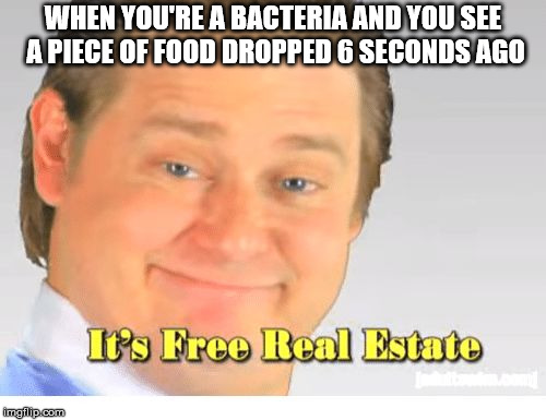 It's Free Real Estate | WHEN YOU'RE A BACTERIA AND YOU SEE A PIECE OF FOOD DROPPED 6 SECONDS AGO | image tagged in it's free real estate | made w/ Imgflip meme maker