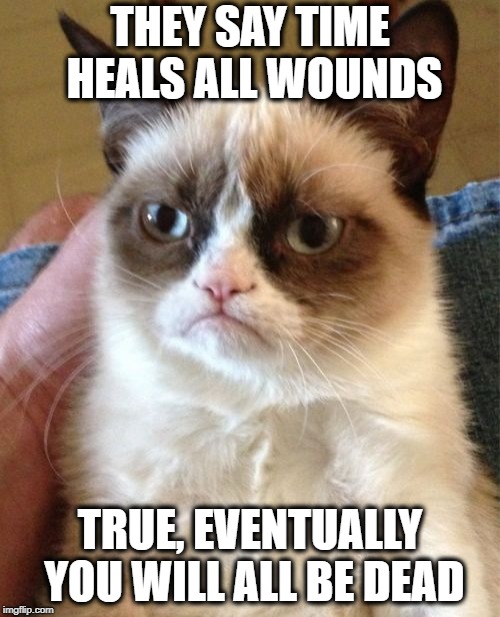 Grumpy Cat | THEY SAY TIME HEALS ALL WOUNDS; TRUE, EVENTUALLY YOU WILL ALL BE DEAD | image tagged in memes,grumpy cat,funny memes | made w/ Imgflip meme maker