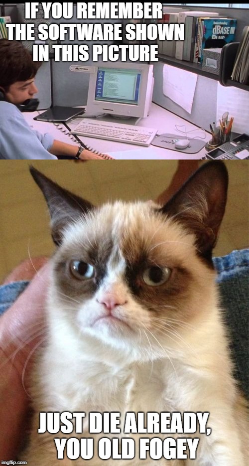 Office space... | IF YOU REMEMBER THE SOFTWARE SHOWN IN THIS PICTURE; JUST DIE ALREADY, YOU OLD FOGEY | image tagged in office space,grumpy cat,the good old days | made w/ Imgflip meme maker