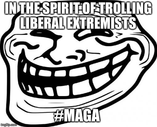 Troll Face Meme | IN THE SPIRIT OF TROLLING LIBERAL EXTREMISTS; #MAGA | image tagged in memes,troll face | made w/ Imgflip meme maker
