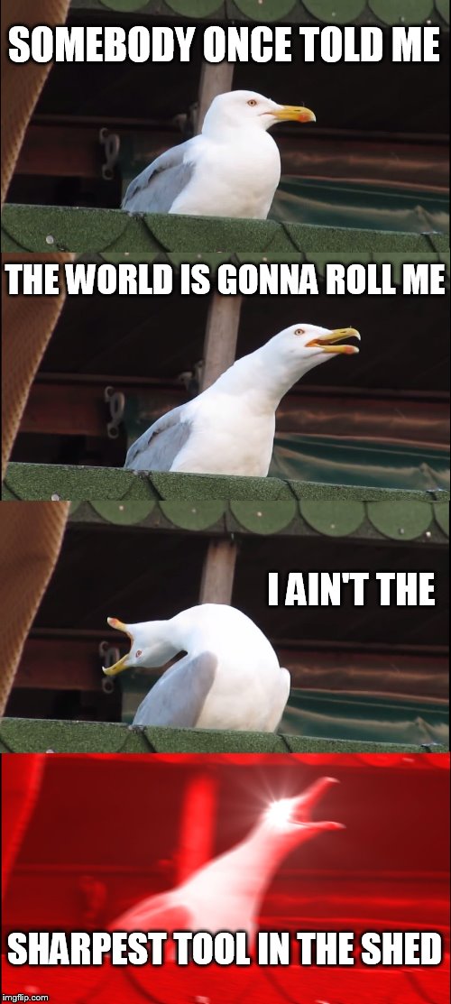 Inhaling Seagull Meme | SOMEBODY ONCE TOLD ME; THE WORLD IS GONNA ROLL ME; I AIN'T THE; SHARPEST TOOL IN THE SHED | image tagged in memes,inhaling seagull | made w/ Imgflip meme maker