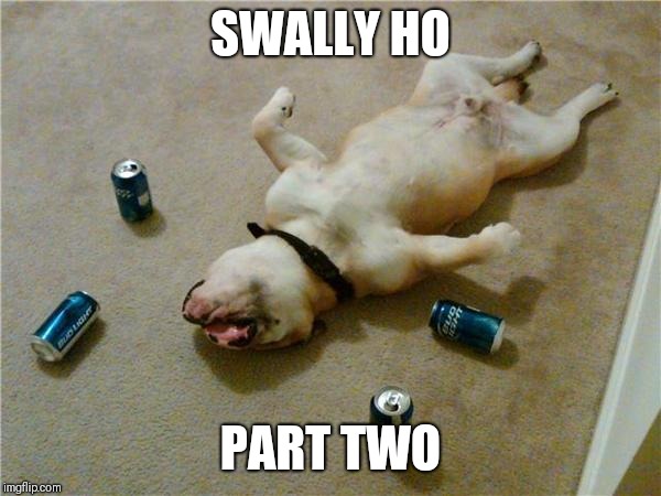 drunk dog |  SWALLY HO; PART TWO | image tagged in drunk dog | made w/ Imgflip meme maker