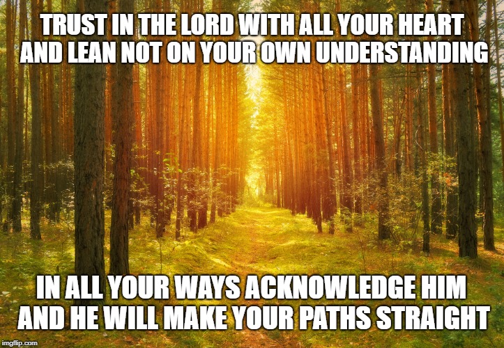 Proverbs 3:5-6 Trust in the Lord With All Your Heart And He Will Make Your Paths Straight | TRUST IN THE LORD WITH ALL YOUR HEART AND LEAN NOT ON YOUR OWN UNDERSTANDING; IN ALL YOUR WAYS ACKNOWLEDGE HIM AND HE WILL MAKE YOUR PATHS STRAIGHT | image tagged in bible,bible verse,holy bible,holy spirit,lord,verse | made w/ Imgflip meme maker