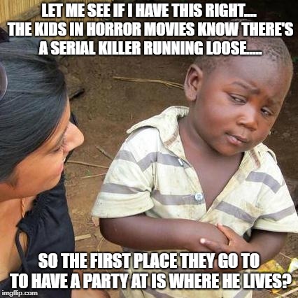 Third World Skeptical Kid Meme | LET ME SEE IF I HAVE THIS RIGHT.... THE KIDS IN HORROR MOVIES KNOW THERE'S A SERIAL KILLER RUNNING LOOSE..... SO THE FIRST PLACE THEY GO TO TO HAVE A PARTY AT IS WHERE HE LIVES? | image tagged in memes,third world skeptical kid | made w/ Imgflip meme maker
